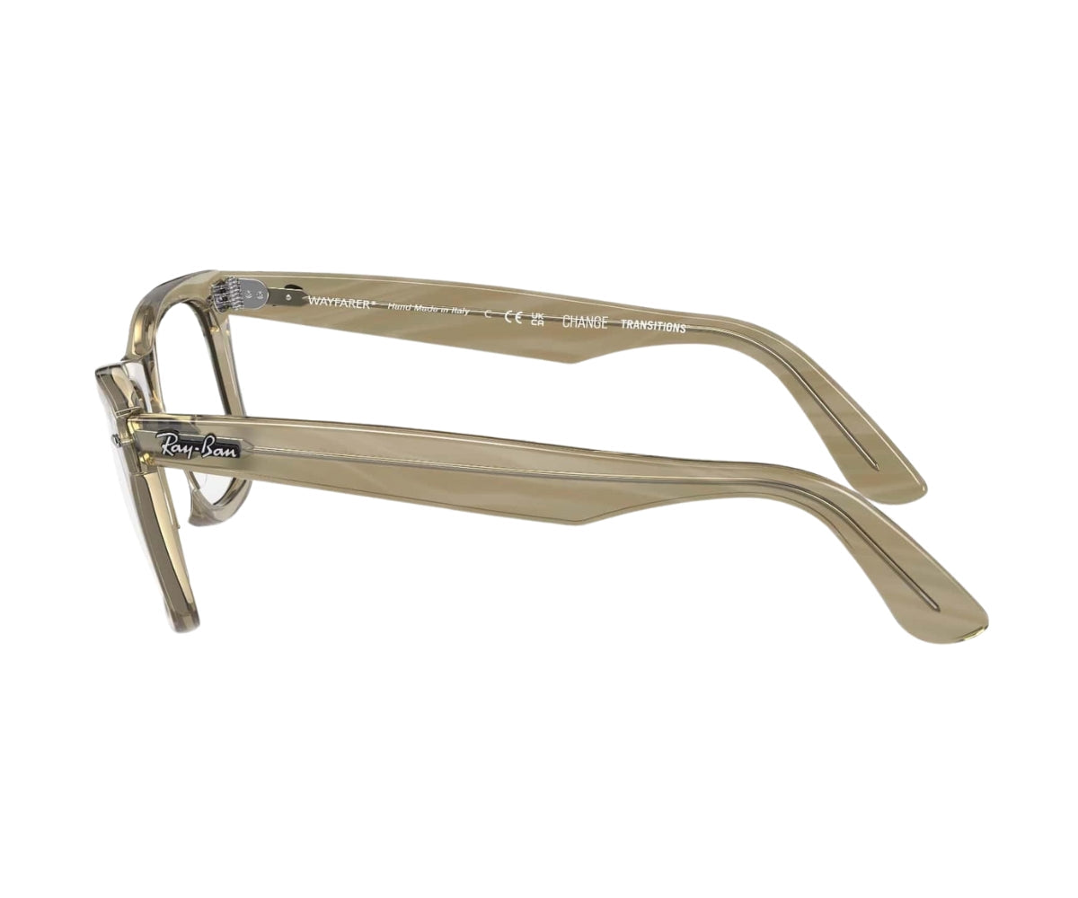 WAYFARER 2140 1387/GG 50